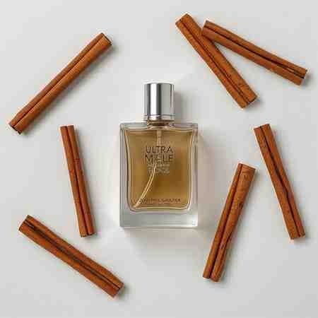 jean paul gaultier cologne